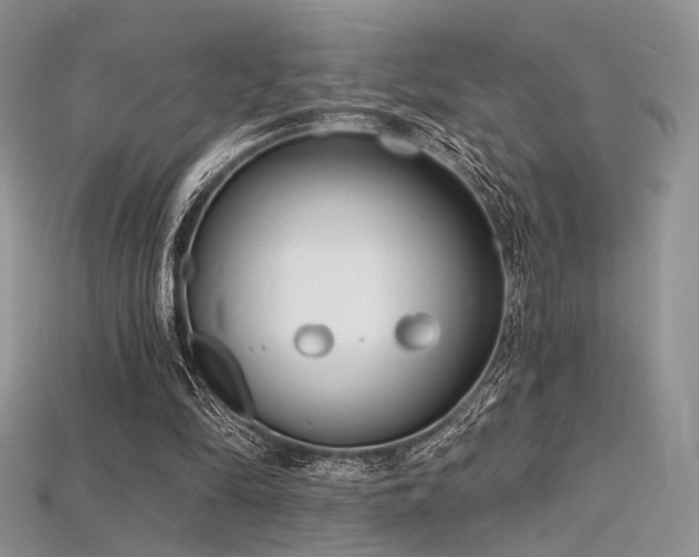 X0000115730294200911121518