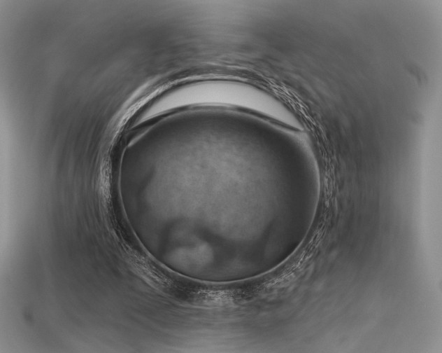 X0000115730295200911121518