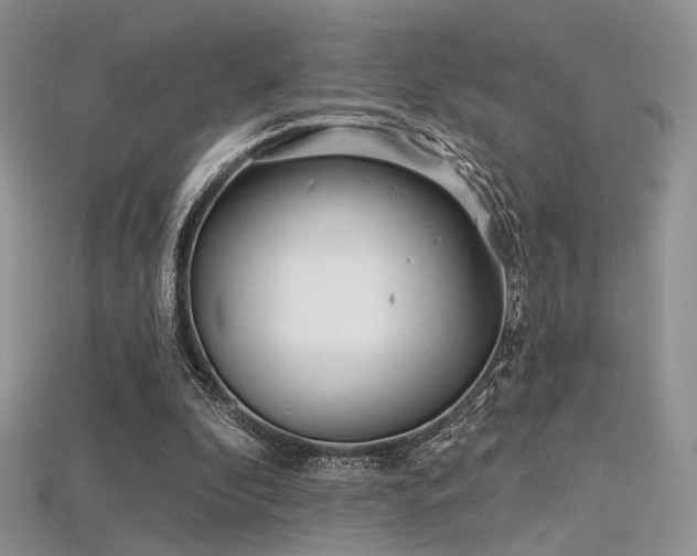 X0000115730296200911121518