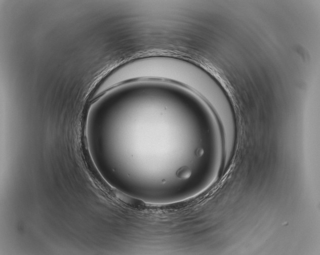 X0000115730297200911121518