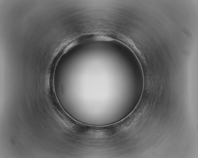 X0000115730299200911121518