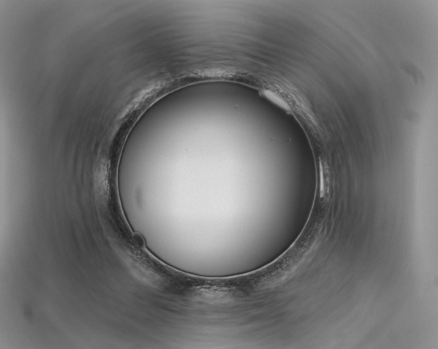 X0000115730300200911121517