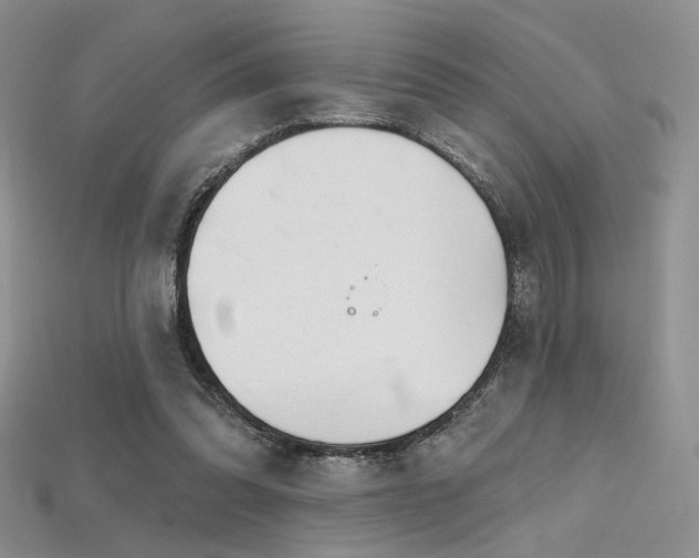 X0000115730302200911121517