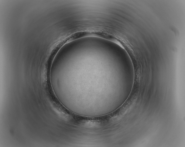 X0000115730303200911121517