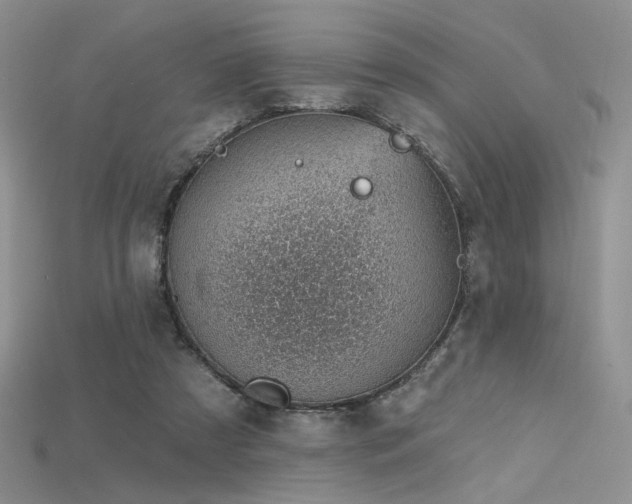 X0000115730305200911121517