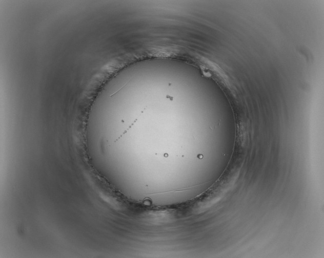 X0000115730307200911121517