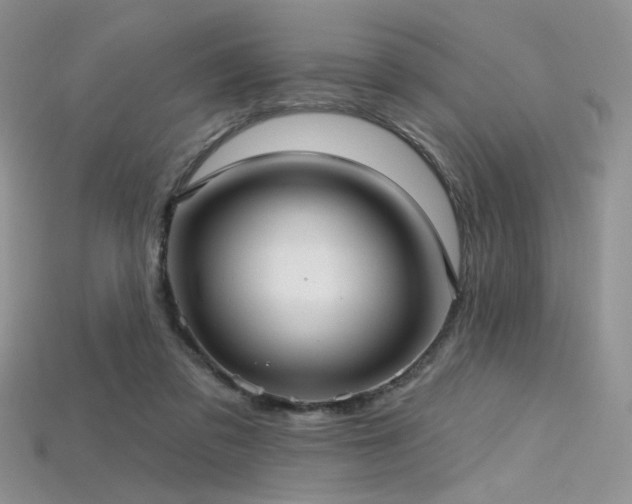 X0000115730309200911121517