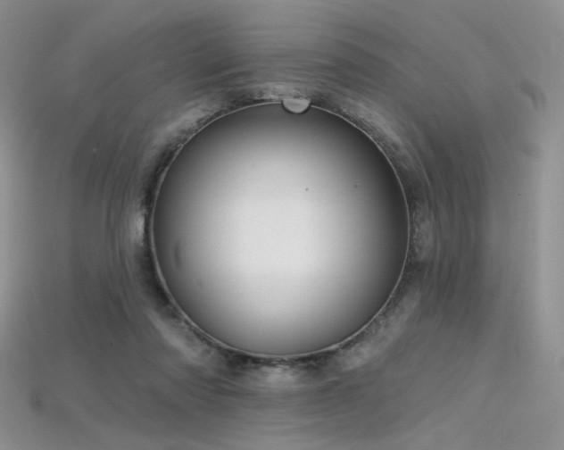 X0000115730310200911121517