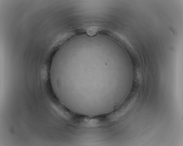 X0000115730311200911121517