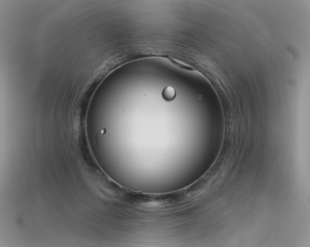 X0000115730312200911121517