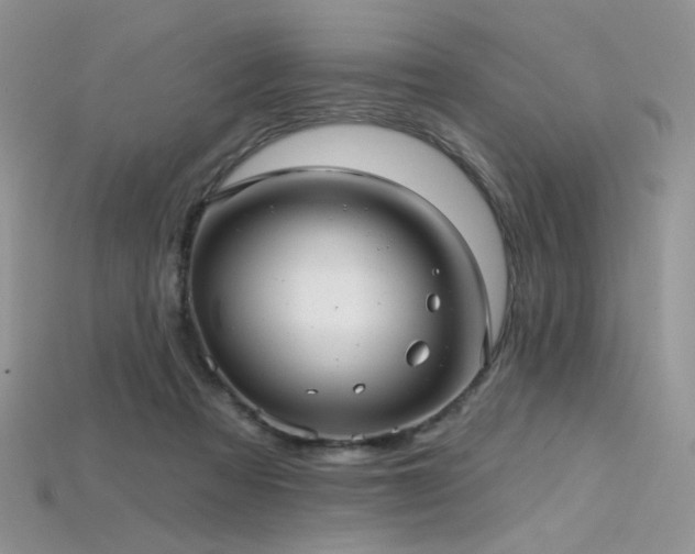 X0000115730313200911121517