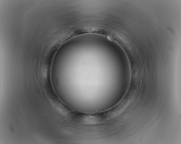 X0000115730315200911121517