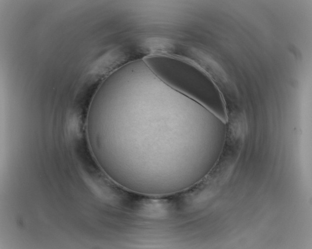 X0000115730316200911121517