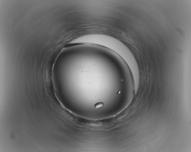 X0000115730317200911121517