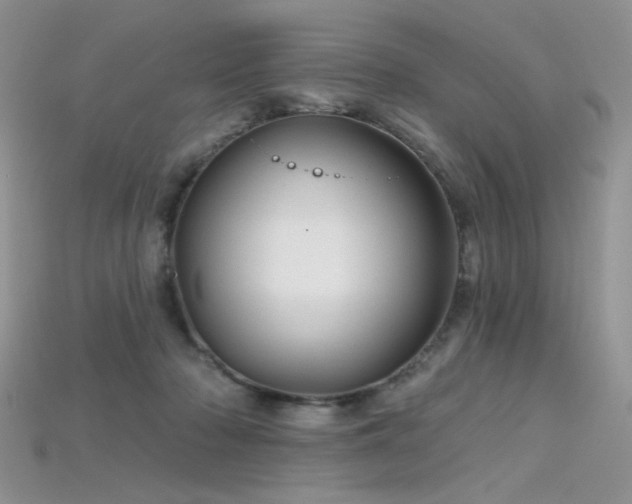 X0000115730318200911121517