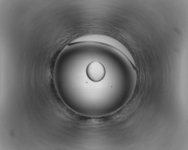 X0000115730320200911121517