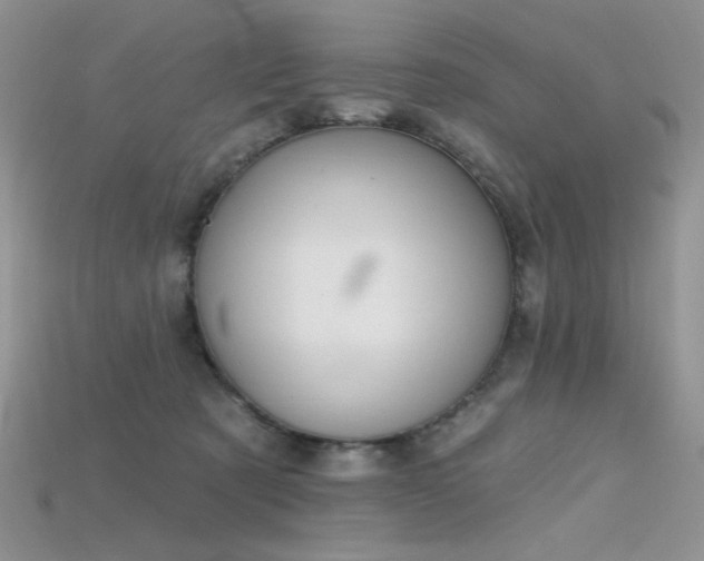 X0000115730321200911121517