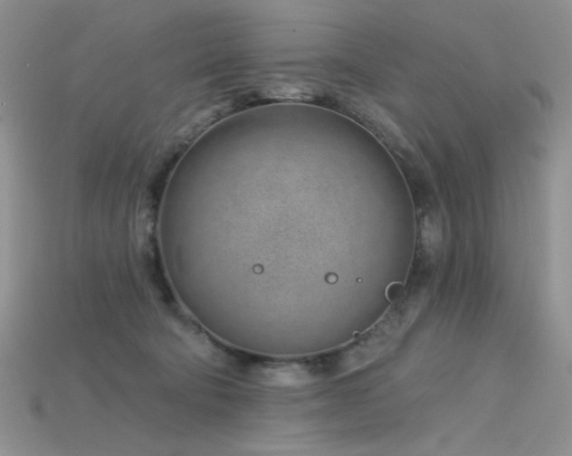 X0000115730322200911121517