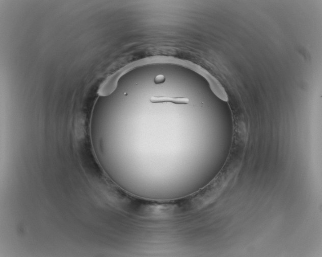 X0000115730323200911121517