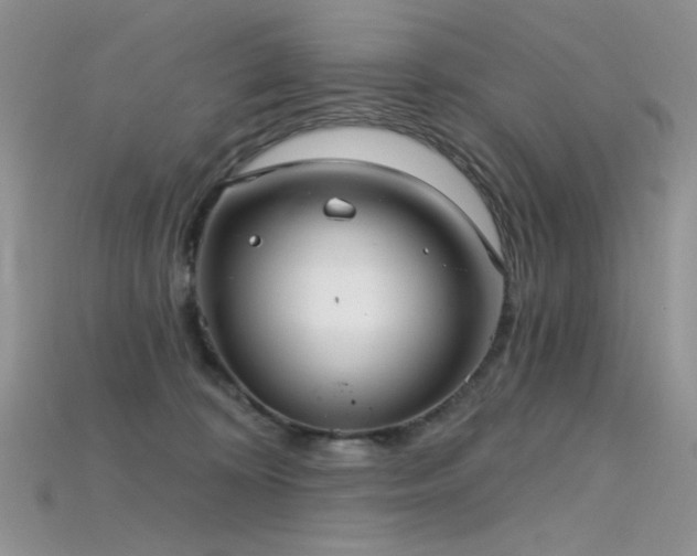 X0000115730324200911121517