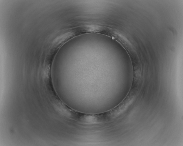 X0000115730325200911121517