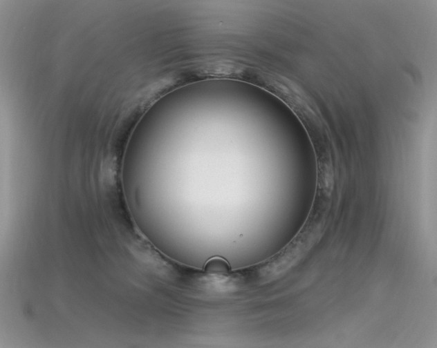 X0000115730326200911121517