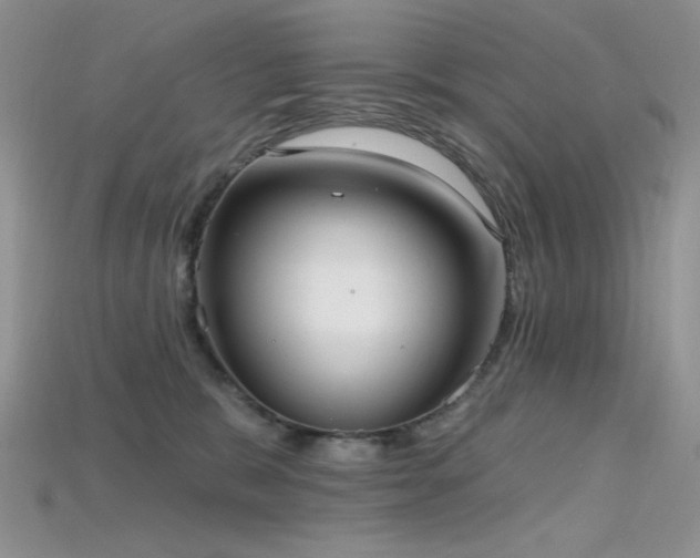 X0000115730327200911121517