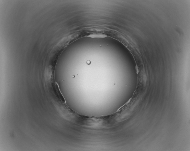 X0000115730328200911121517