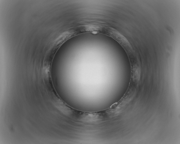 X0000115730329200911121517