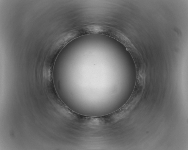 X0000115730330200911121517