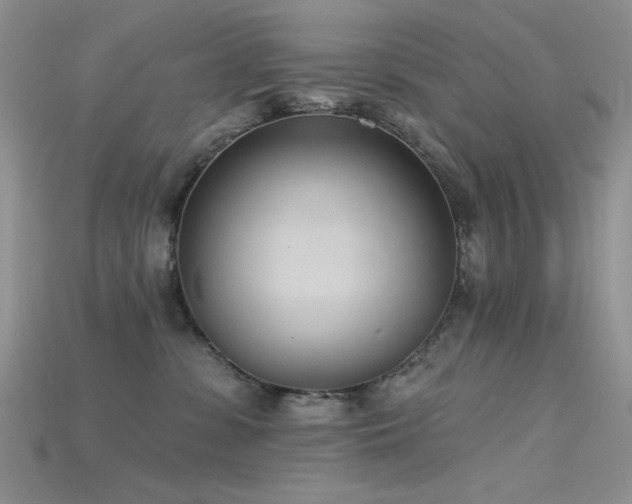 X0000115730331200911121517