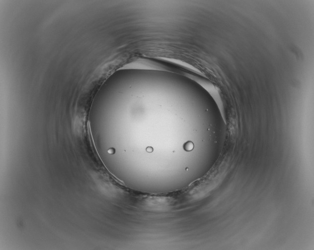 X0000115730332200911121517