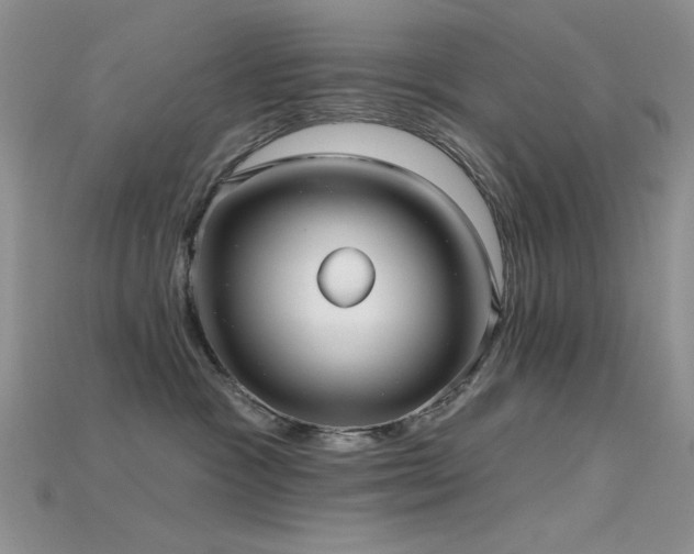 X0000115730333200911121517