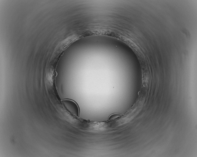 X0000115730334200911121517