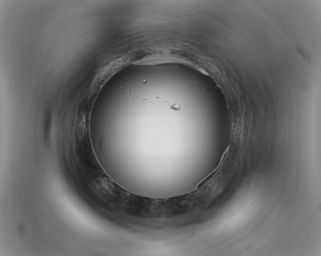 X0000115730335200911121517