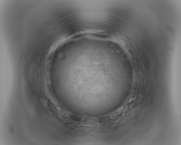 X0000115730337200911121516