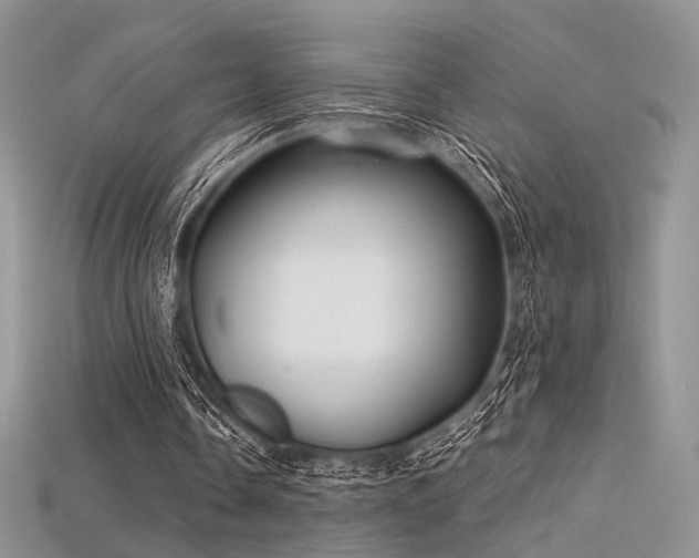 X0000115730338200911121516