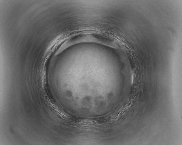 X0000115730339200911121516