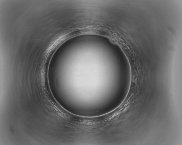 X0000115730341200911121516