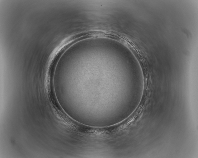 X0000115730343200911121516