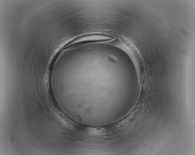 X0000115730346200911121516