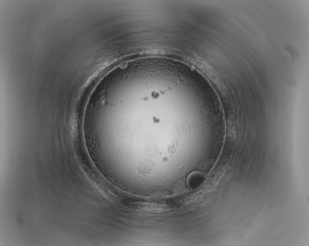 X0000115730347200911121516