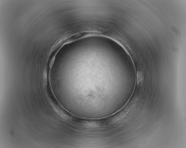 X0000115730349200911121516