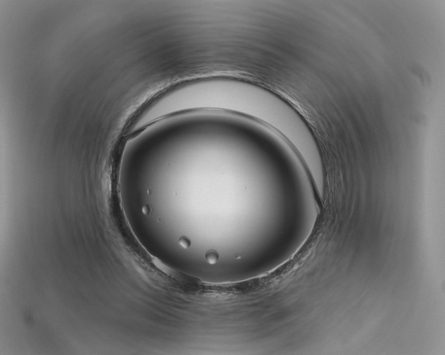 X0000115730350200911121516