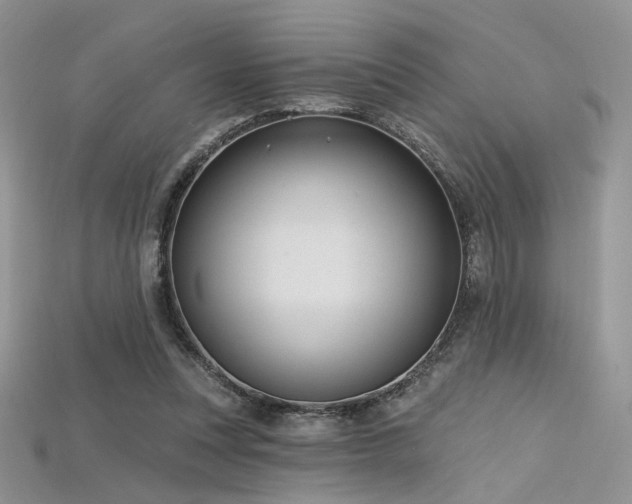 X0000115730351200911121516