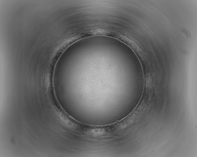 X0000115730353200911121516