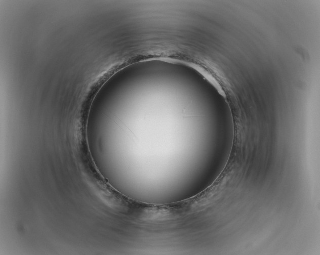 X0000115730354200911121516