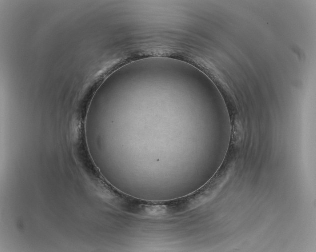 X0000115730355200911121516