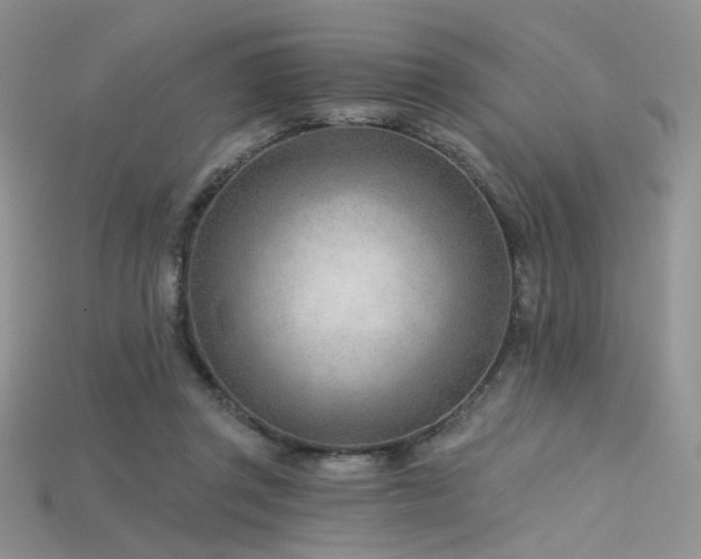 X0000115730357200911121517