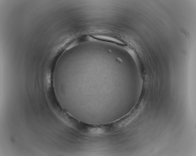 X0000115730358200911121517